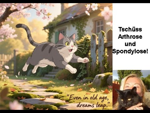 9 natural remedies for smooth movements in your cat, for arthritis, spondylosis, etc.