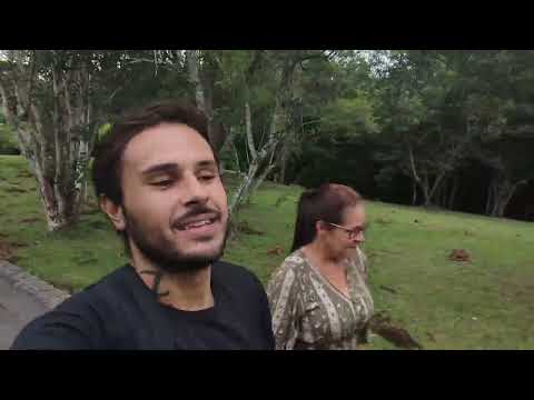TURISTANDO POR ARAUCÁRIA PARANÁ, CAMINHADA E CONHECENDO BAIRROS✨ 🚶🏼🚶