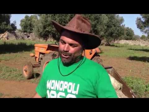 TRATTORISTA INCALLITO - Trattorista incallito più incallito che mai nella sua contea di Hazzard