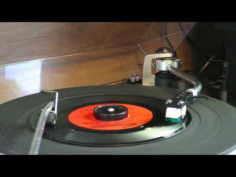 The Trashmen - Bird Dance Beat