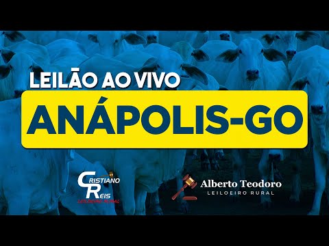 LEILÃO DE ANÁPOLIS | ANÁPOLIS-GO  05/01/2026 | LEILÃO DE GADO AO VIVO