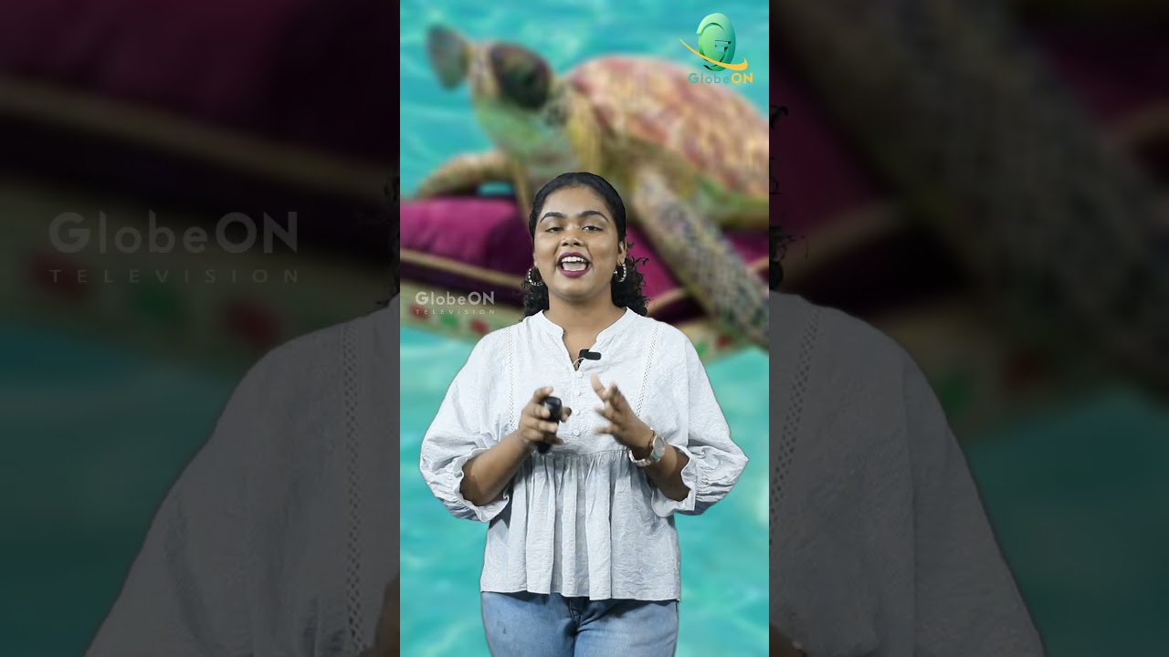 ബഡ്ജറ്റ് അവലോകനം: കേരളത്തിന്‌ കിട്ടിയത്