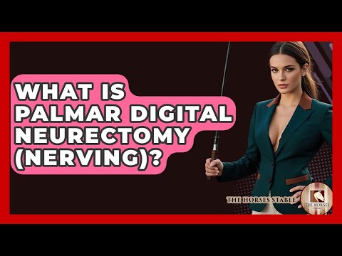 What Is Palmar Digital Neurectomy (Nerving)? - The Horses Stable