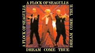 A Flock of Seagulls - Heartbeat Like a Drum (12'' Extended Version)