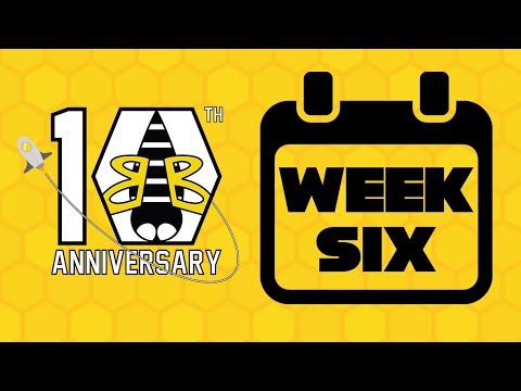 BumbleB 3339 - 2019 Build Season Week 6