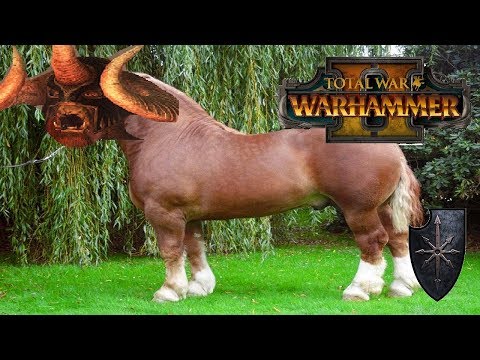 CYGOR & SHAGGOTH PARTY | Chaos vs Beastmen: Mortal Empires - Total War Warhammer 2