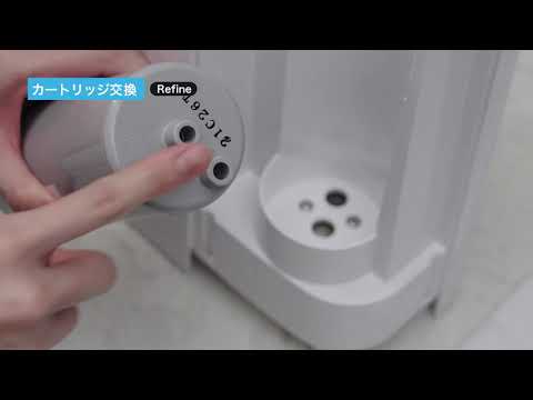 カトリチ科について詳しく解説