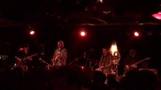 Robyn Hitchcock -  I Want to Tell You About What I Want