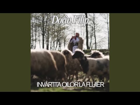 Invârtita oilor la fluier