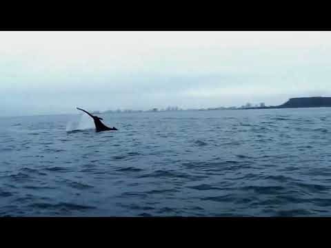 SALINAS BEACH Santa Elena   Made with Clipchamp 1