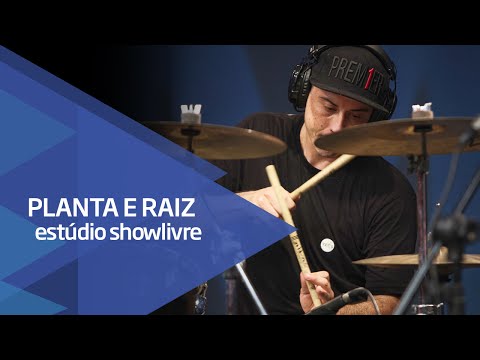 Todo Dia - Planta e Raiz