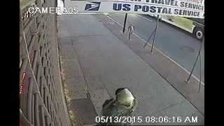 Satan Evil Voodoo Lady Spell