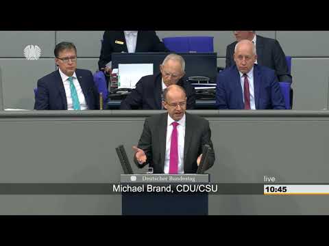 Michael Brand: Vereinbarte Debatte - Vorgeburtliche genetische Bluttests [Bundestag 11.04.2019]