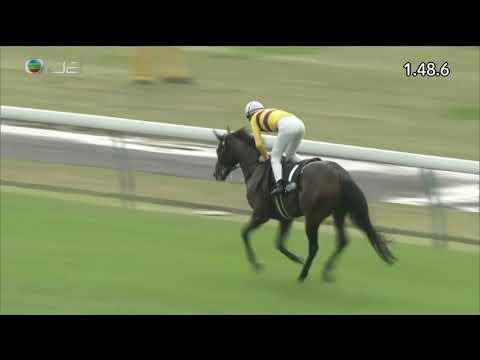 2019 Oriental Sho - Peace One Paradis (和平樂園) - C.Soumillon