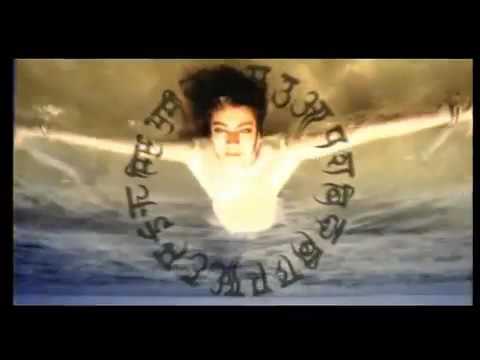 Silence   Delirium ft Sarah Mclachlan