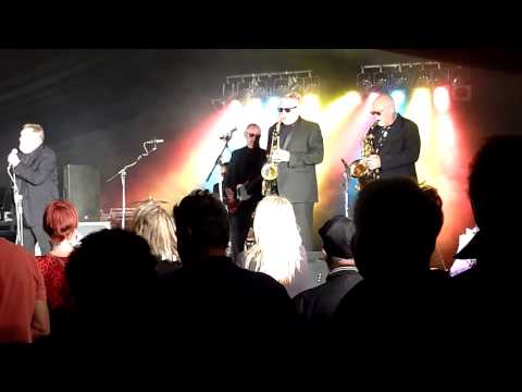 Cliff Bennett and the Rebel Rousers  - Got to Get You into My Life - Retro Festival  - England 2013