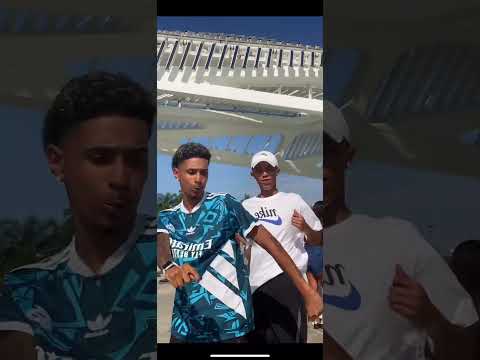 PIQUE PIQUE PIQUEZIN (+samambaia)