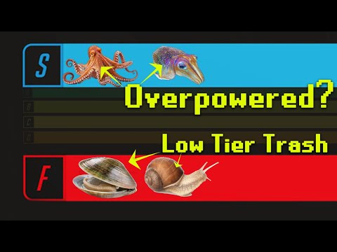 The Mollusk Tier List