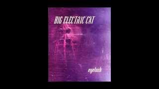 Big Electric Cat - Transience