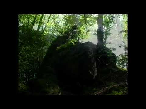 Bakancsot fel! /2009.11.06/