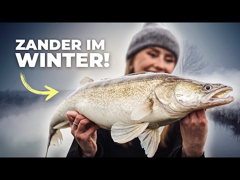 Winter-Zander im Fluss! Angeln bei -1 Grad 🥶