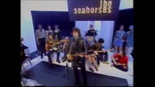 The Seahorses - Love Me And Leave Me - Top Of The Pops - Friday 10th October 1997