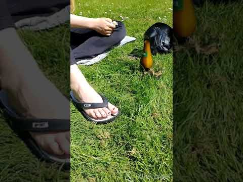 Hvordan man får venner til at stoppe med at drikke.