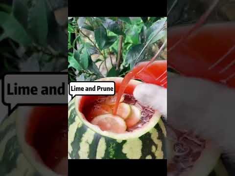 Let me cut cut ｜Some juice for you in hot summer hope you like it #cat #catlovers #catvideos #cute