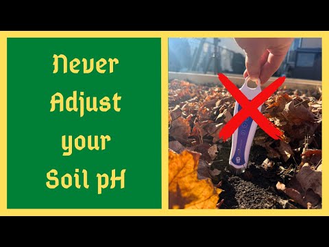 Warum pH-Tests im Boden im Bio-Gartenbau nutzlos sind!!