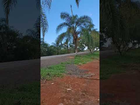 Vendo Terreno comercial 414,18m² Entrada da cudade Borda da Mata MG /(35)999270388/ CRECI-MG 46.863