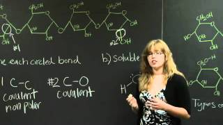 Covalent Bonds | MIT 7.01SC Fundamentals of Biology
