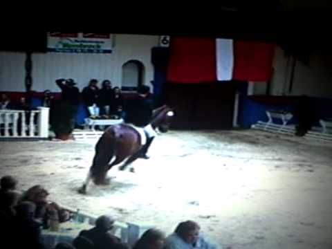 Rolex v Revan aus der Wonderful Lovely v Wolkentan