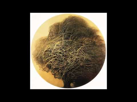 Whelm - Perpetual Blindness