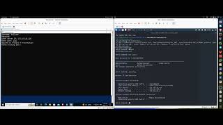 Python SSH server for reverse shell