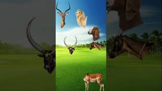 Download lagu https://youtube.com/shorts/FfLzXgOCyVQ?si=xTnZIS5rDC_Gzg61 mp3 Download lagu https://youtube.com/shorts/FfLzXgOCyVQ?si=xTnZIS5rDC_Gzg61 mp3