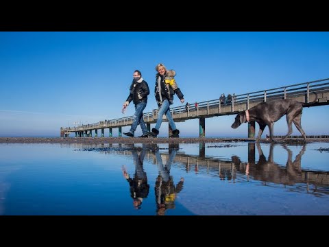 Everyone wants to get out in the sun