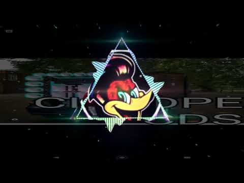 OS CARRO MONSTRO DO CPX , ABELHA , PROFESSOR,MACACO , RUSSO TIK TOK @golparafornaia