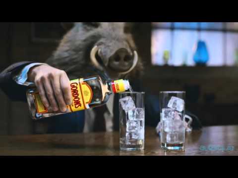 Autarquia club Castelo de Paiva promo gordons