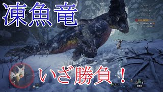 【MHW実況3】製品版初の新フィールド＆雪の中を泳ぐ竜を狩猟する！
