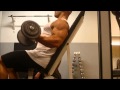Zakariasson Arms - Biceps