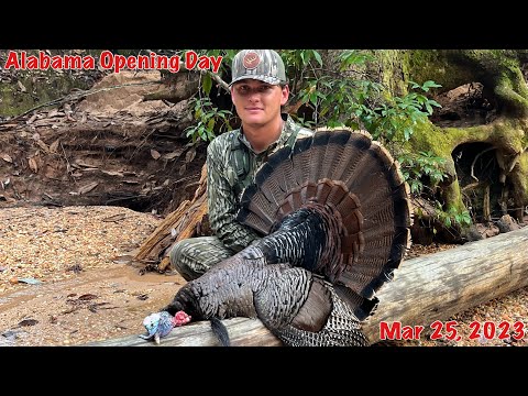 Alabama Opening Day | Killing Turkeys on Pure Woodmanship