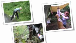 Help for the Poleshift