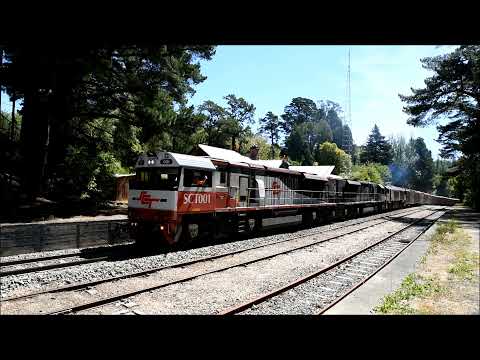 SCT Logistics Rail Action 10th December 2021 5MP9 and 3PM9