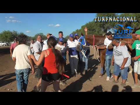 ANDALUZ - PISTA PANGARE DE CRUZ DEL EJE / 9-12-2018