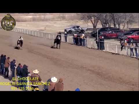 EL CHOCOLATE - ROGELIO GARNICA EL RG