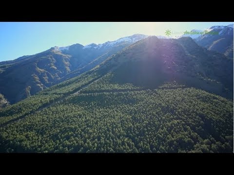 Una experiencia placentera, Comarca del Río Nacimiento, Almería