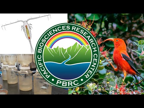 Pacific Biosciences Research Center- S11 E3