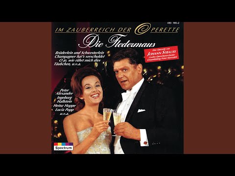 J. Strauss II: Die Fledermaus / Act 1 - Mein schönes, großes Vogelhaus