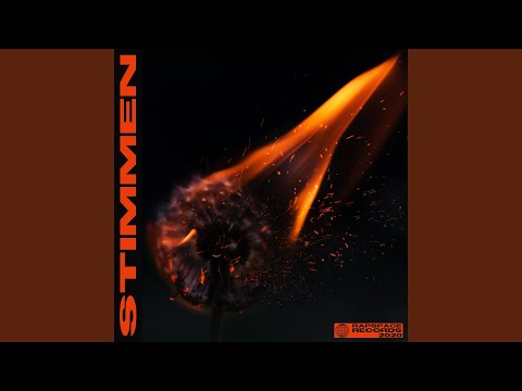 Stimmen (feat. IcyNyu)