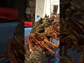 The Cray Story